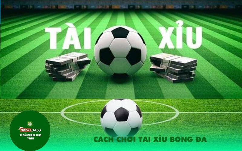 Cach choi Tai xiu bong da Cách chơi Tài xỉu bóng đá