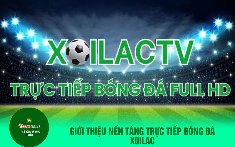 Giới thiệu nền tảng trực tiếp bóng đá Xoilac-tv.click