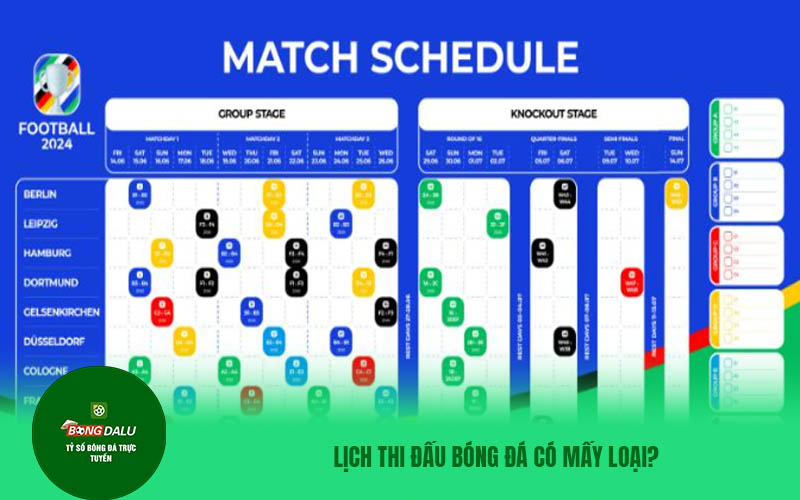 Lịch thi đấu bóng đá có mấy loại?