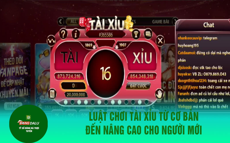 tai xiu 1 1 Luật chơi tài xỉu từ cơ bản đến nâng cao cho người mới