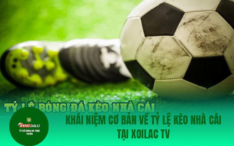 xoilac tv 3 Khái niệm cơ bản về tỷ lệ kèo nhà cái tại Xoilac Tv